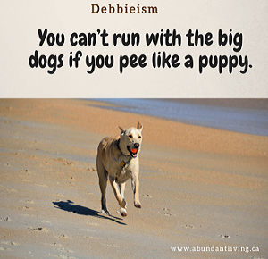 abundant-living-blog-debbieism