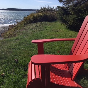 Reflections from the Red Chair